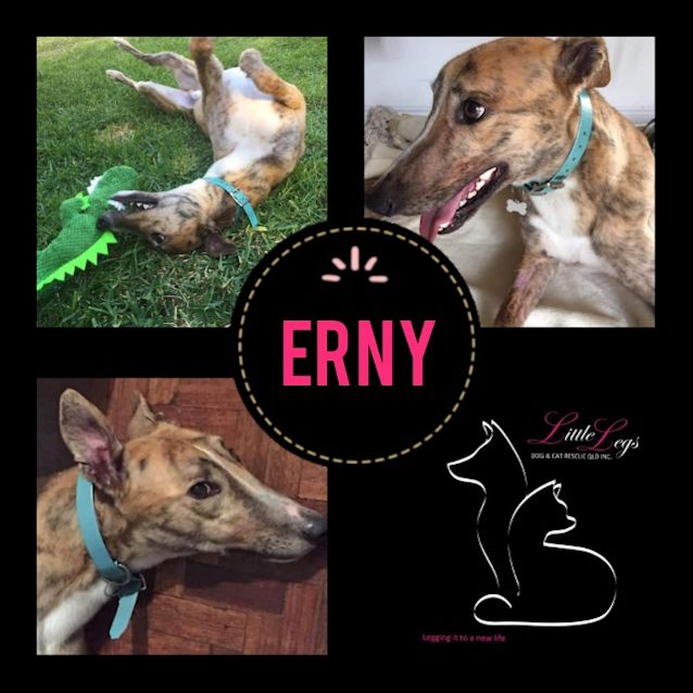 Photo of Erny