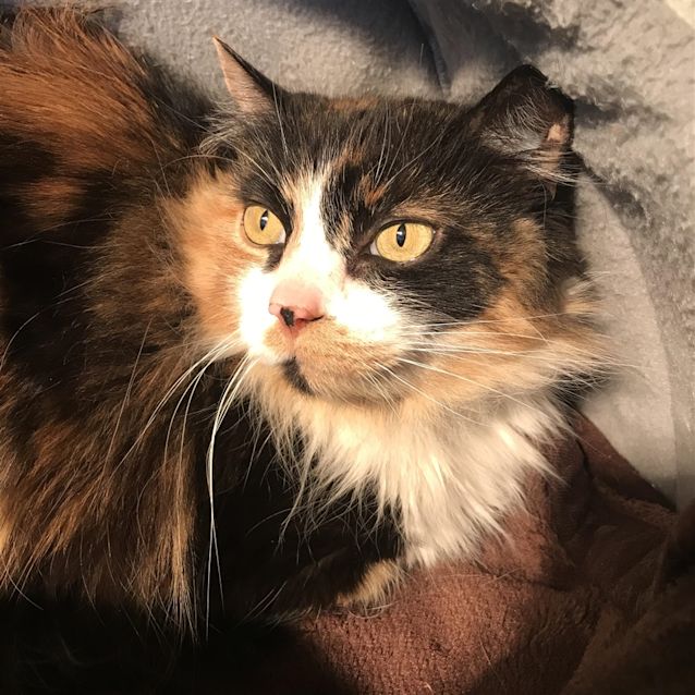 Photo of Squeak