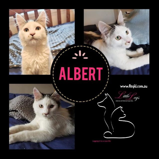 Photo of Albert
