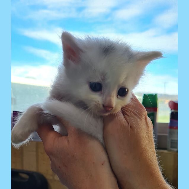 Photo of Wincup