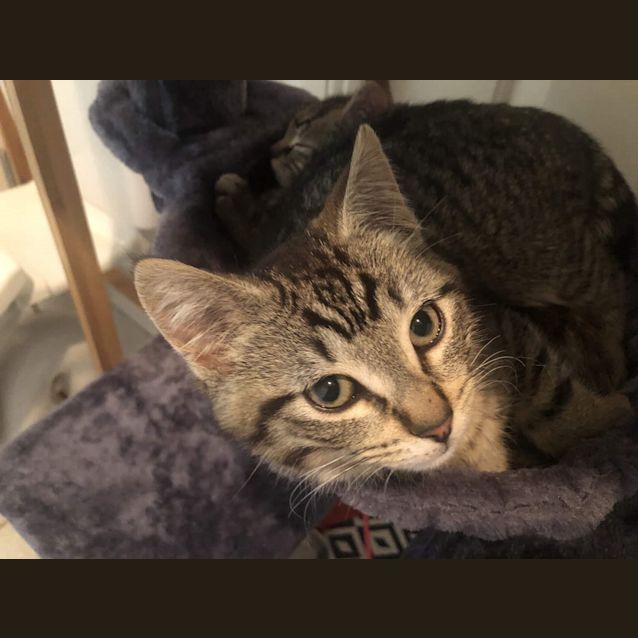 Photo of 🎀🎀🎀Sugar And Spice🎀🎀🎀