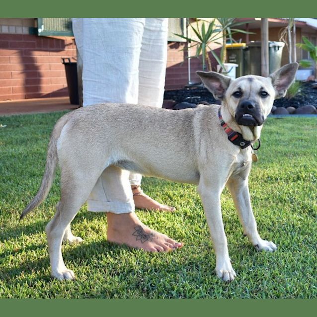 Photo of Lola