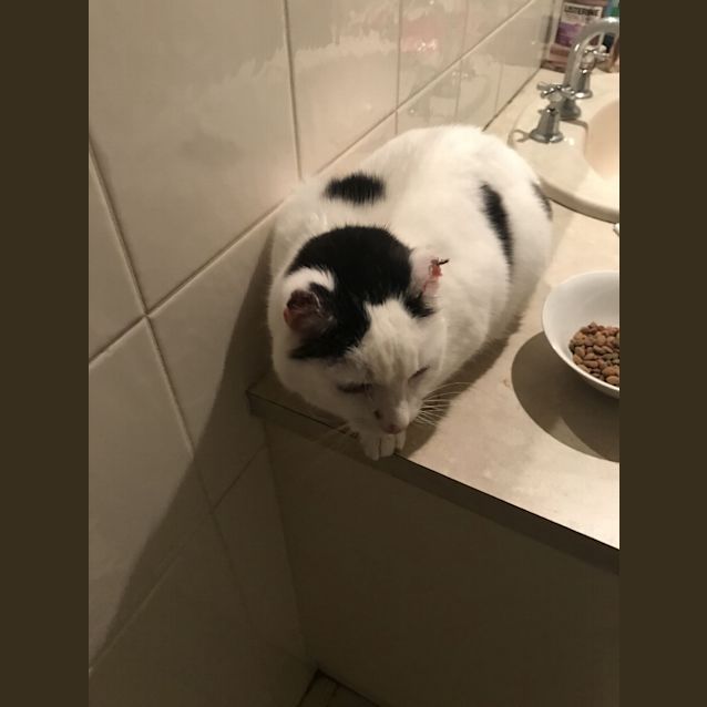 Photo of 💕💕💕Messie💕💕💕