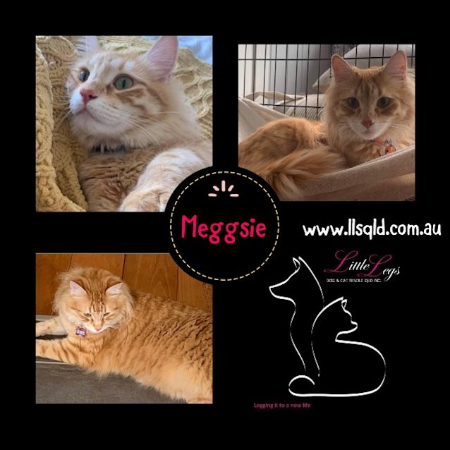 Photo of Meggsie