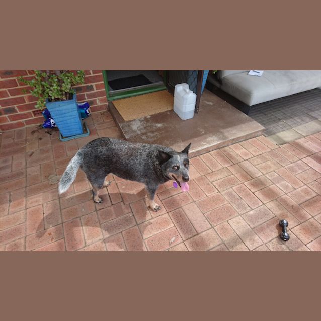 Photo of Jedda Dl2541