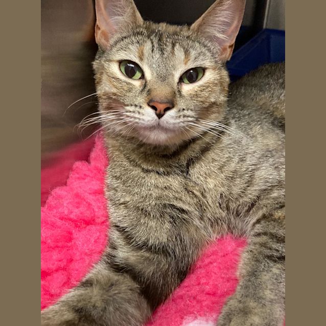 Photo of Matilda