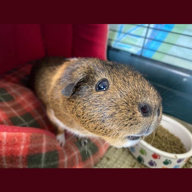 Photo of Pepsi