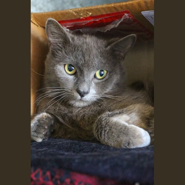 Photo of Hiccup