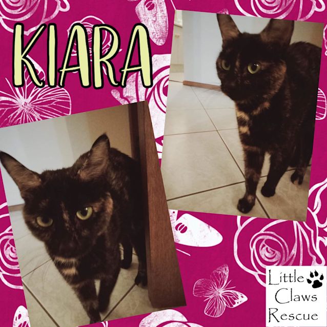 Photo of Kiara