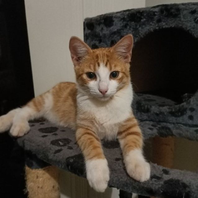 Photo of Gatsby