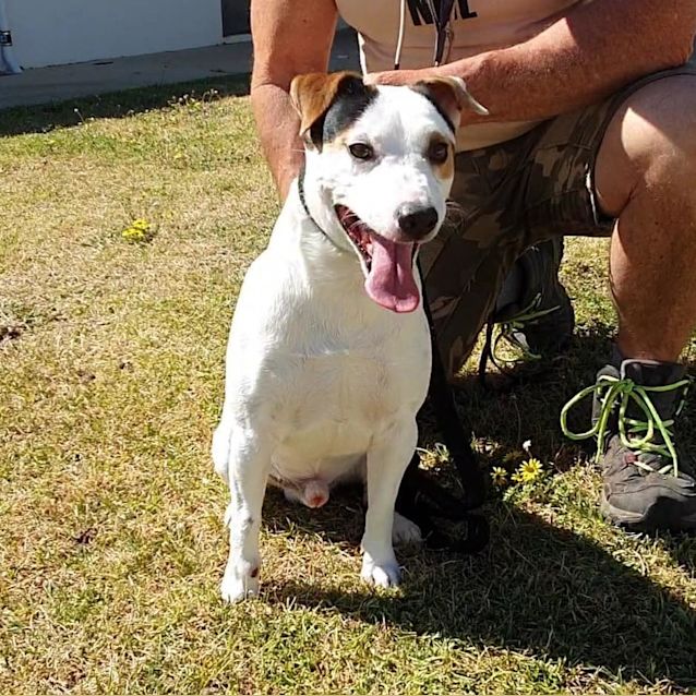 Photo of Logan Dl2548