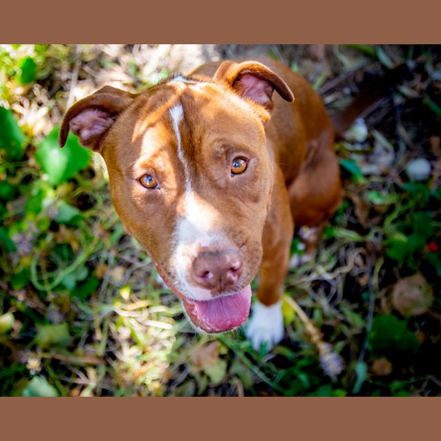 Photo of Luna Dl2509