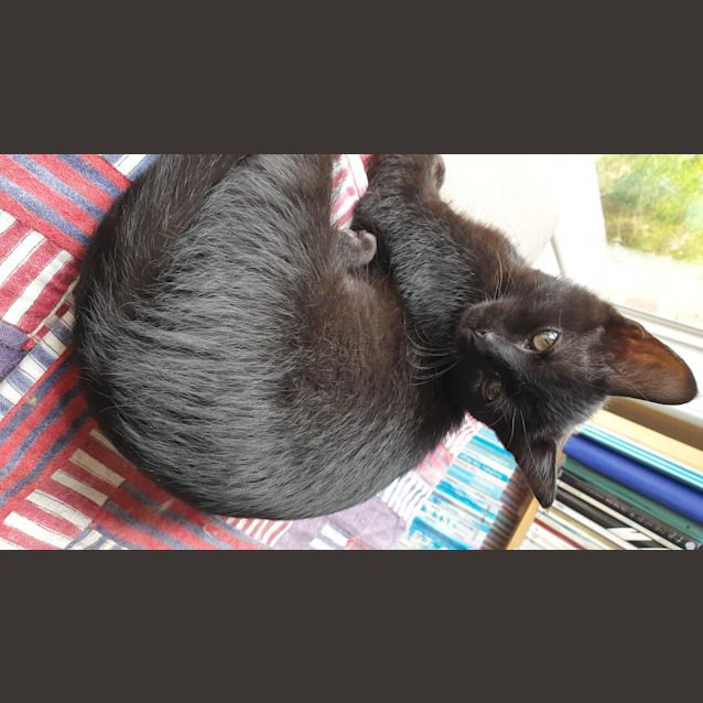 Photo of Jet