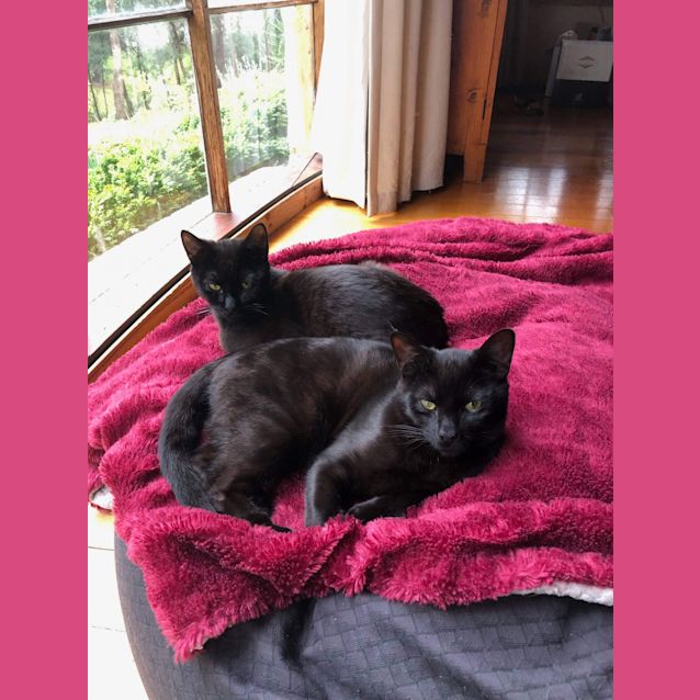 Photo of Teddy And Neo ❤❤