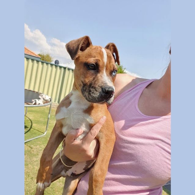 Photo of Dennis Dl2547