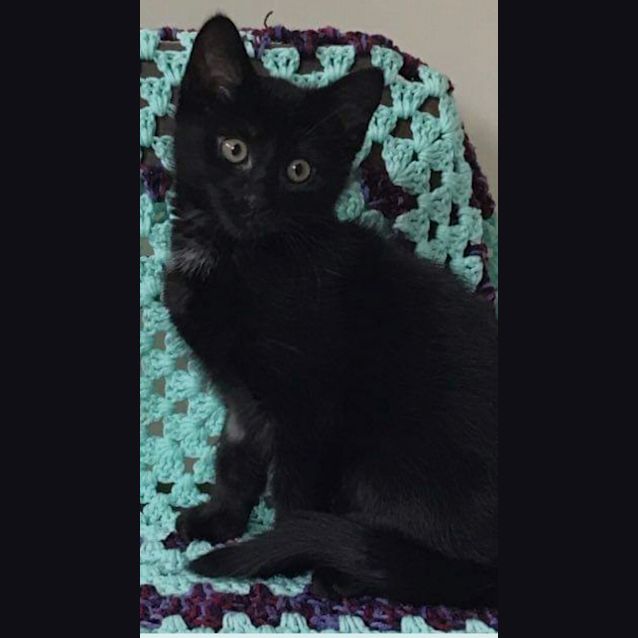 Photo of Furlin 💙