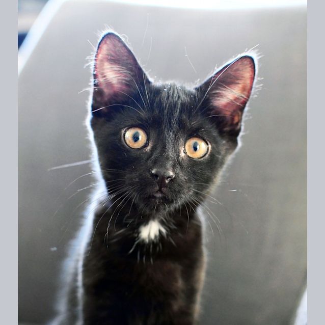 Photo of Mia