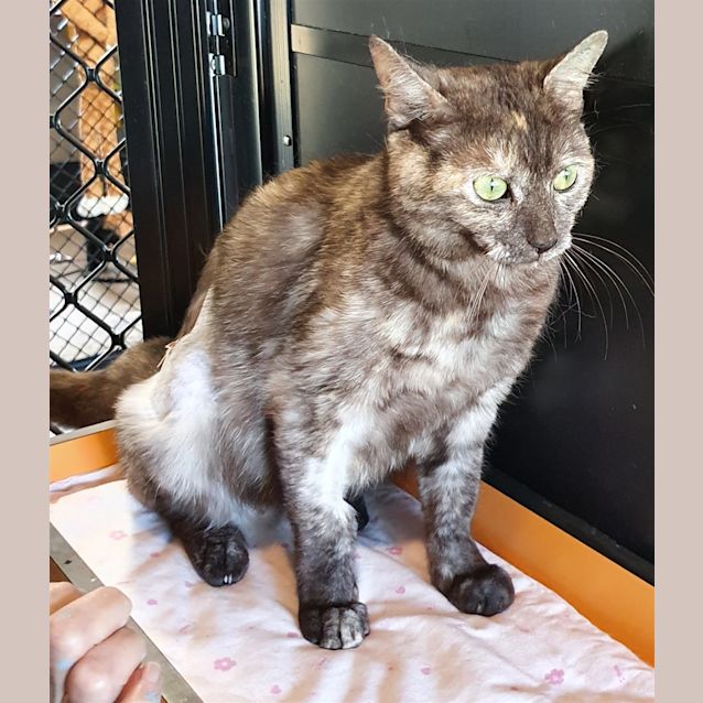 Photo of Sugar