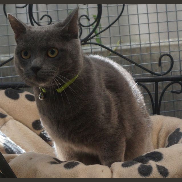 Photo of Gandalf