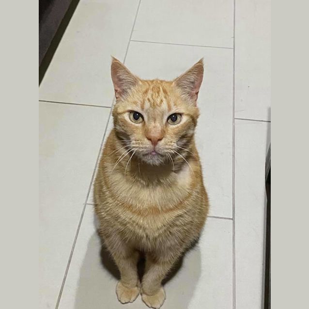 Photo of Marsik 
