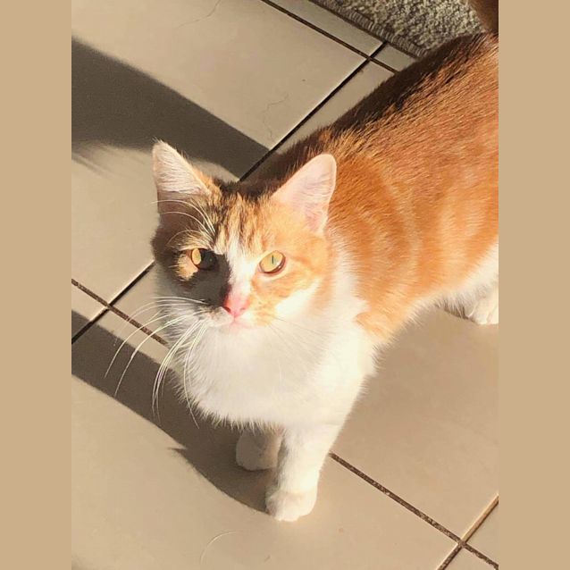 Photo of Shiny
