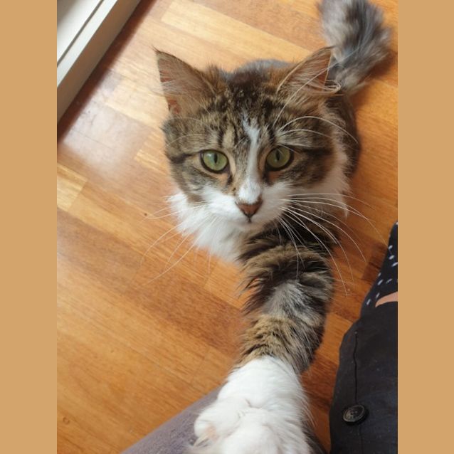 Photo of Drusilla