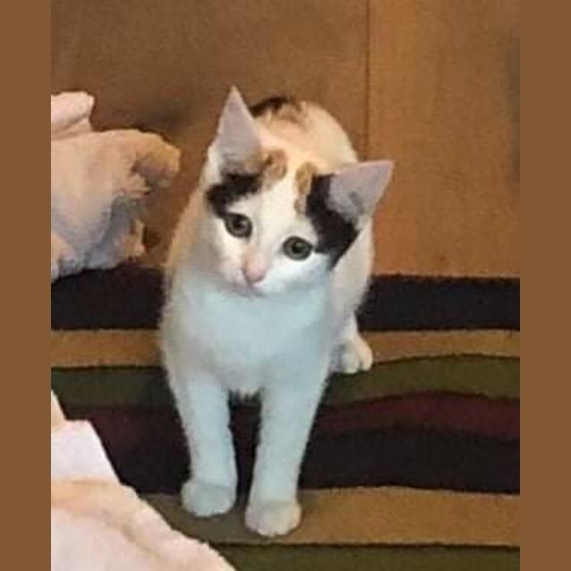 Photo of Annie & Oliver 