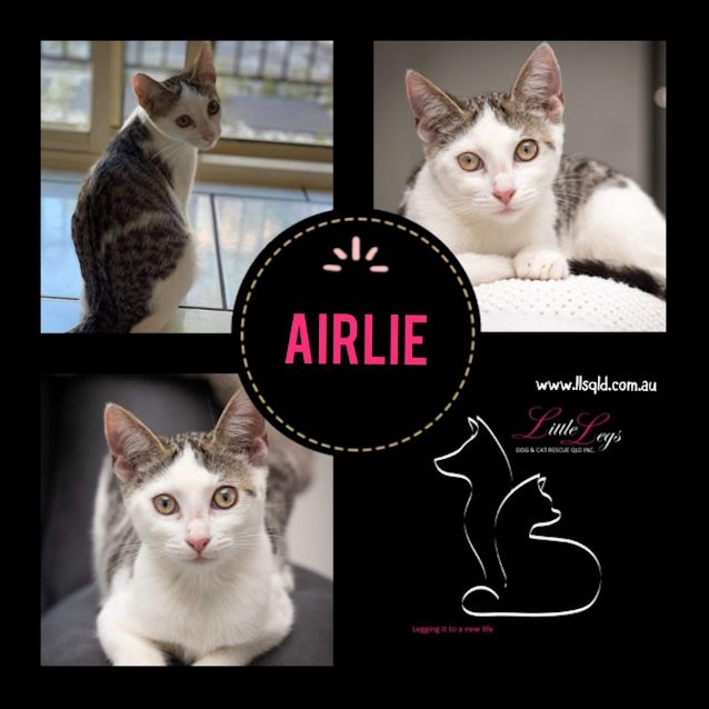 Photo of Airlie