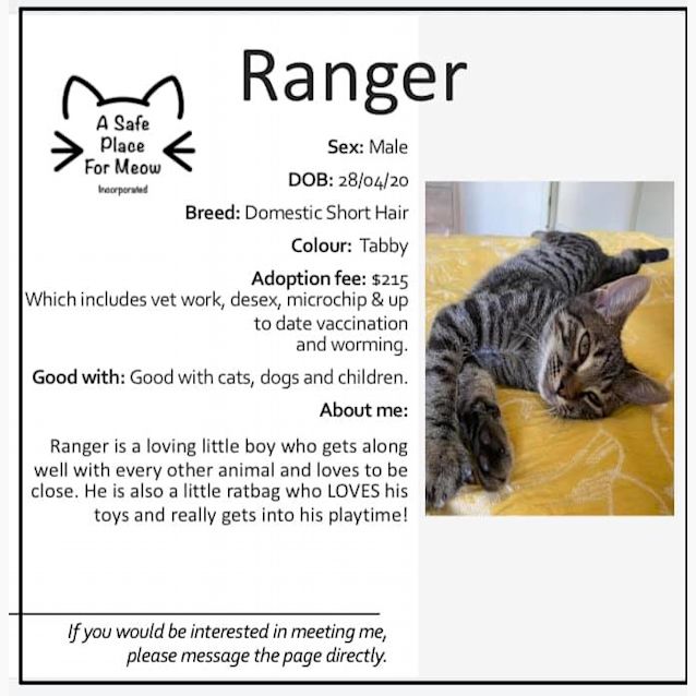 Photo of Ranger