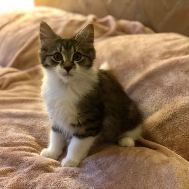 Photo of Bella And Bailey