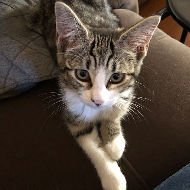 Photo of Asha