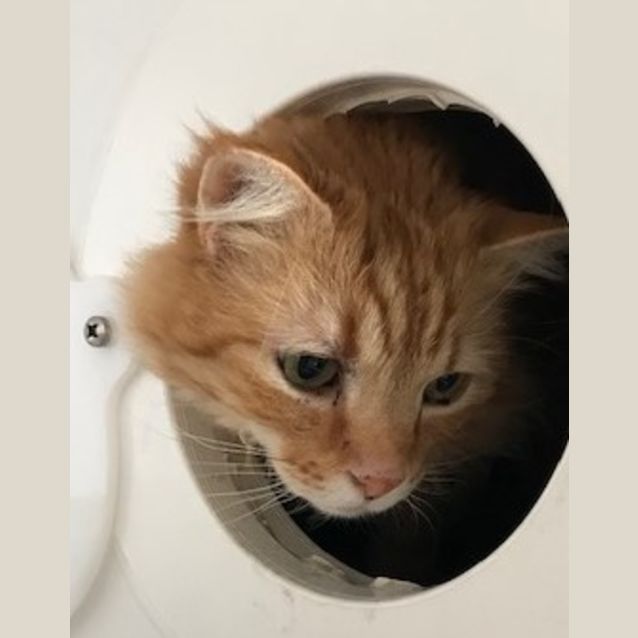 Photo of Sunny