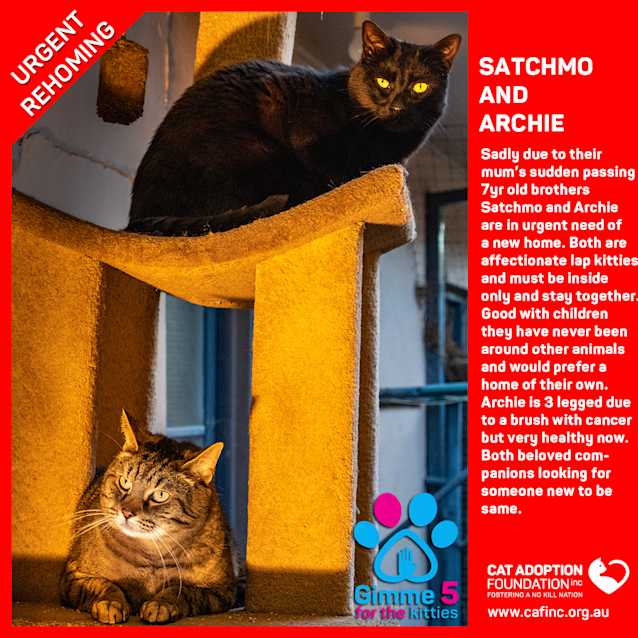 Photo of Archie And Satchmo