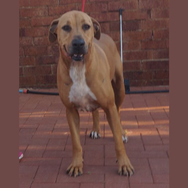 Photo of Maggie