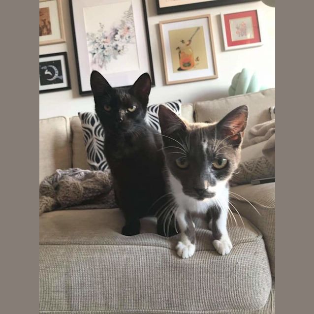Photo of Clyde & Bonnie