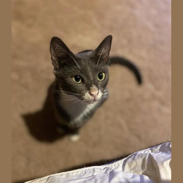 Photo of Stormi