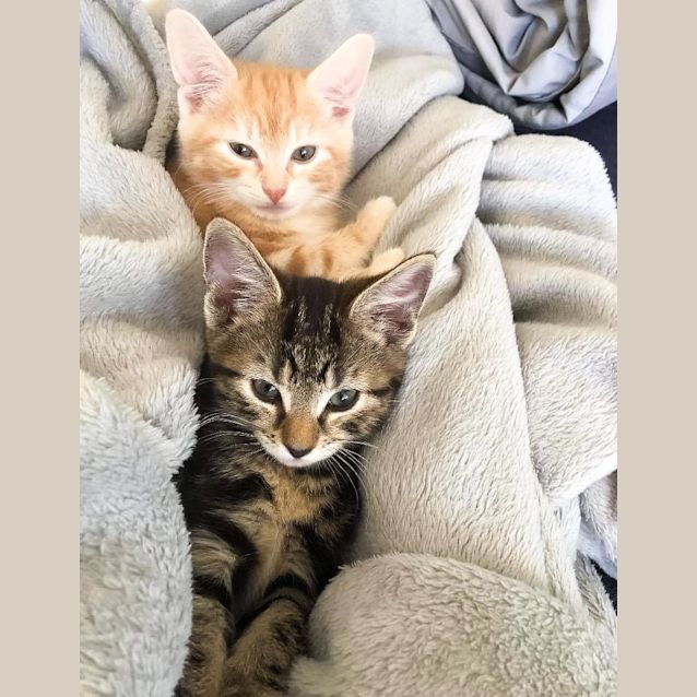 Photo of Axel & Alaska