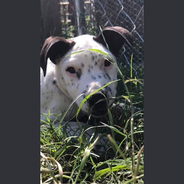 Photo of Addie