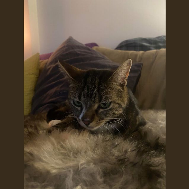 Photo of Timmy