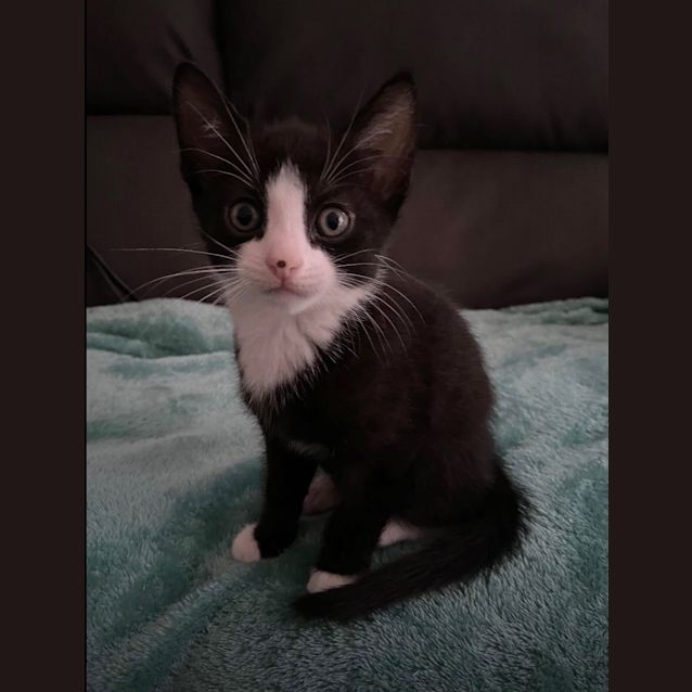 Photo of Kili 