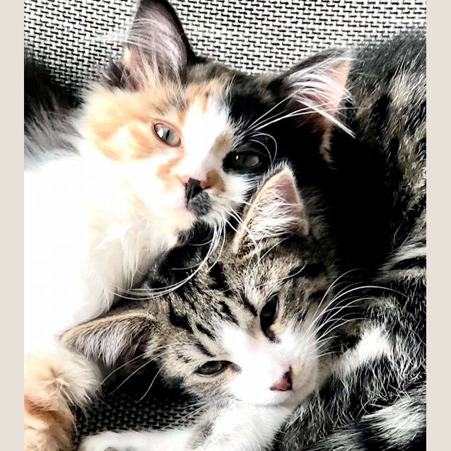 Photo of Tommy & Pk
