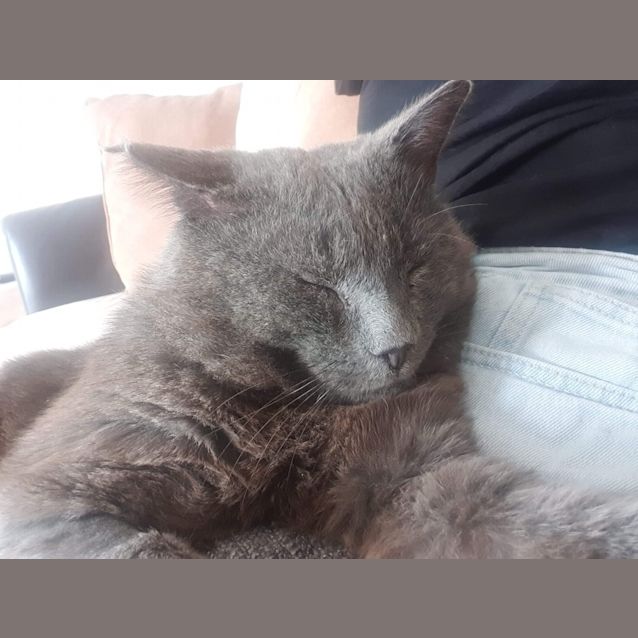 Photo of Theodore