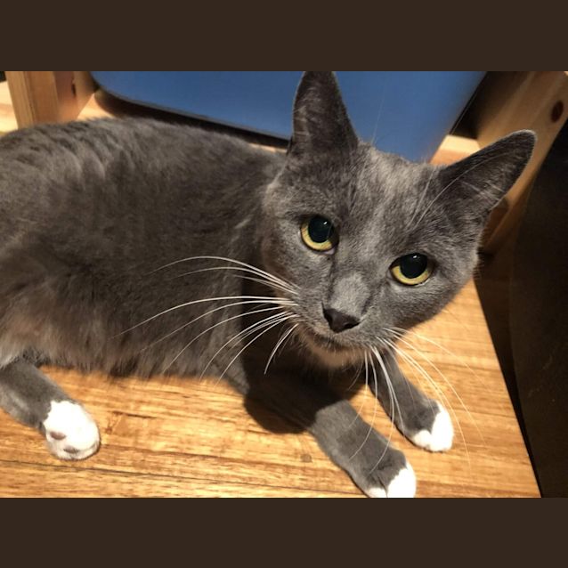 Photo of 💖💖💖Millie💖💖💖