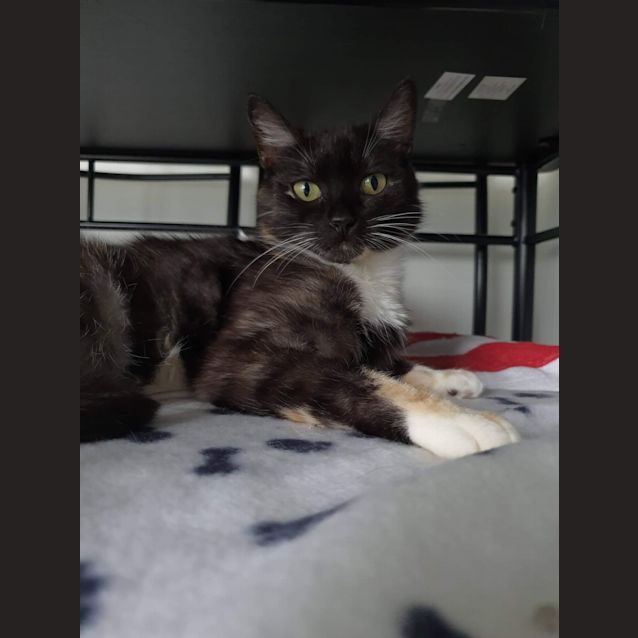 Photo of 🎀🎀🎀Kaalu🎀🎀🎀