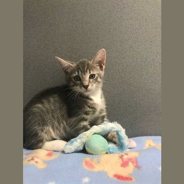 Photo of Billy