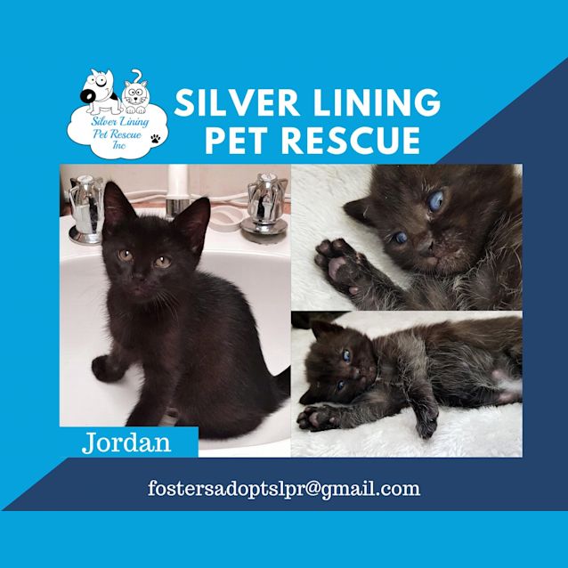 Photo of Jordan