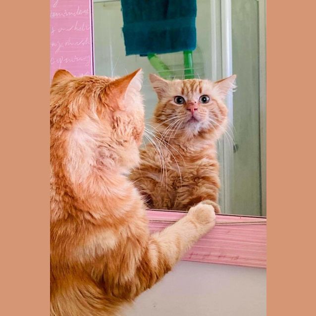 Photo of Lionel 🧡