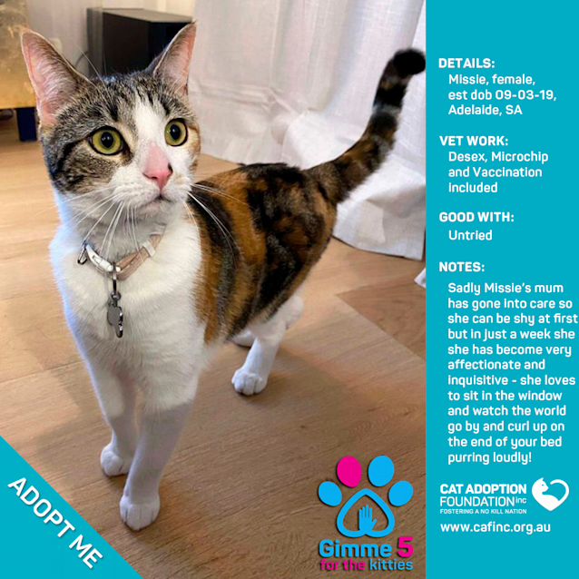 Photo of Missie