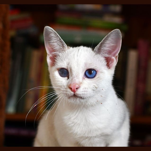Photo of Maisy