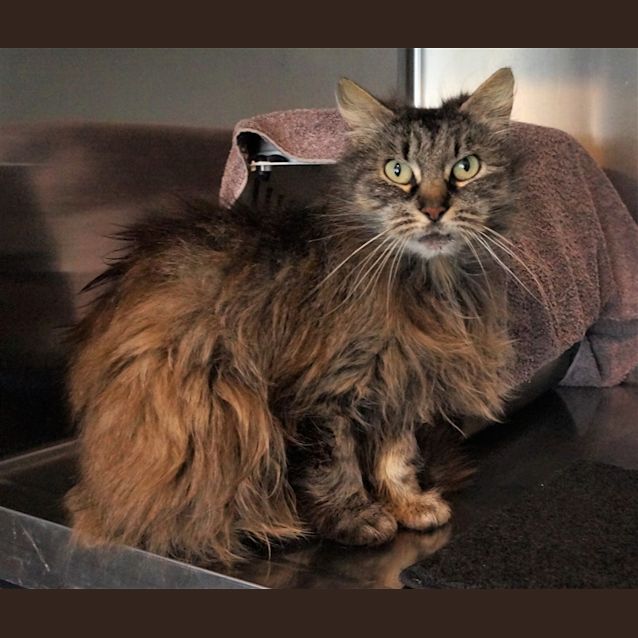 Photo of Mischief